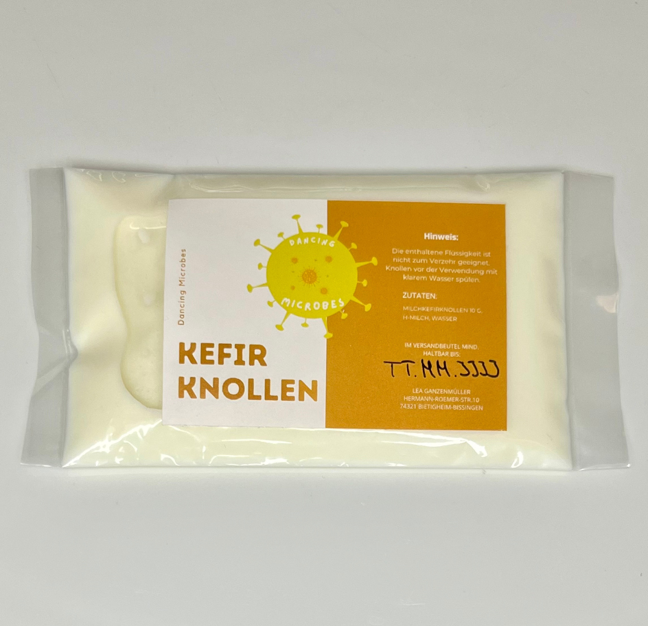 Frisch verpackte Milchkefirknollen in sicherer, lebensmittelechter Verpackung mit Milch und Etikett für einfache Handhabung und Lieferung.