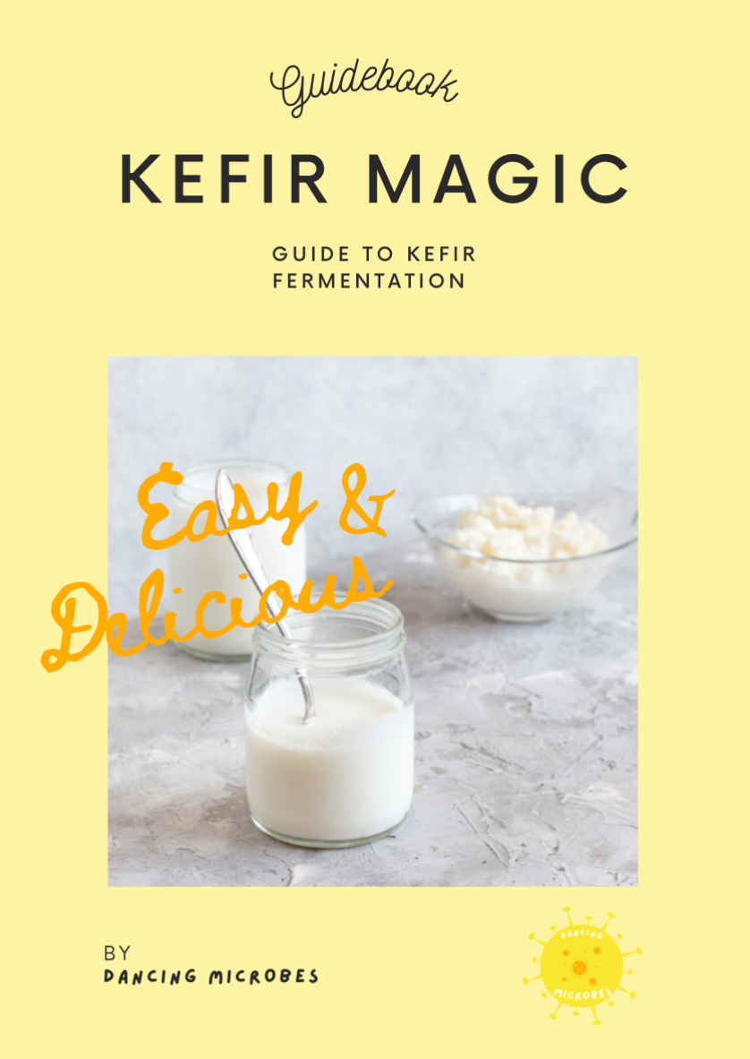 Kefir Magic – Guide to Kefir Fermentation – Your practical guide to making high-quality milk kefir with helpful tips and recipes.