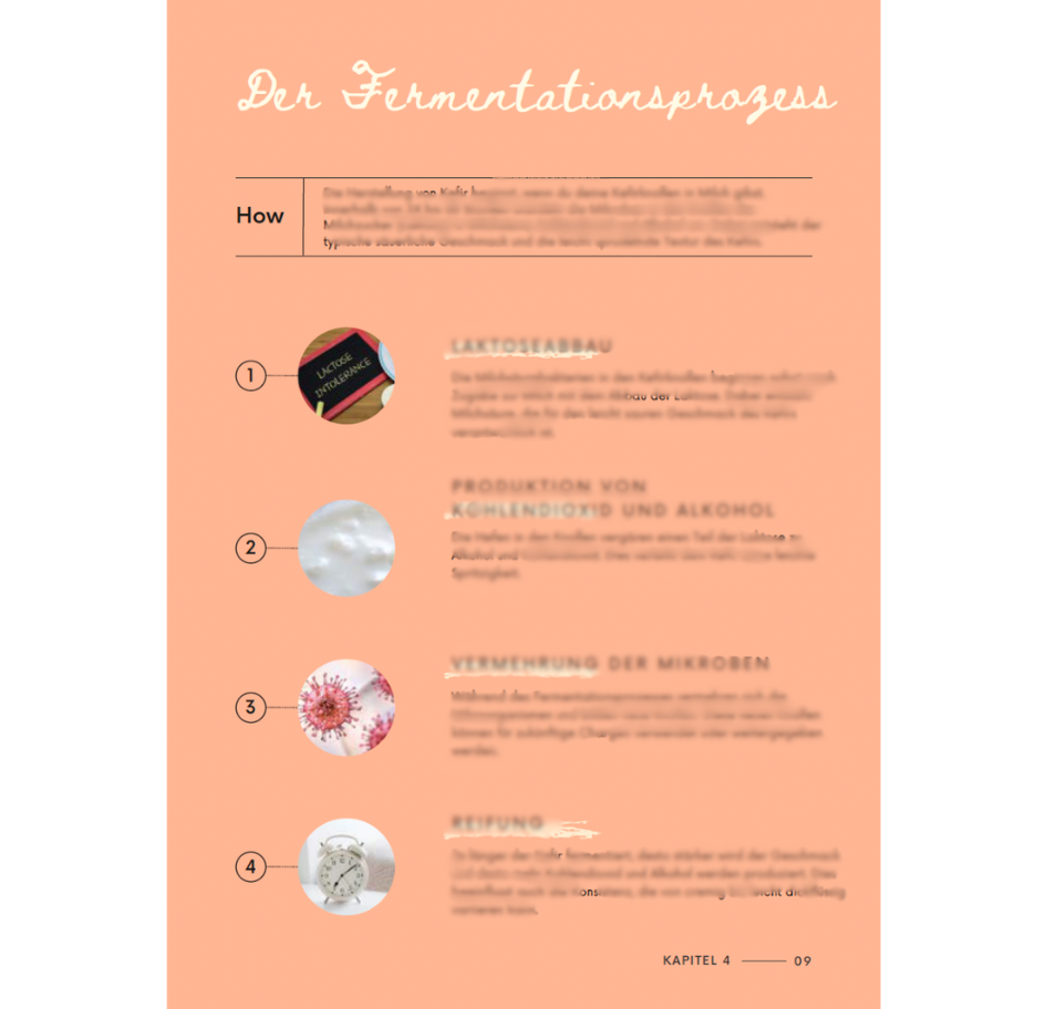 Auszug aus dem Kefir Guidebook – Darstellung des Fermentationsprozesses von Milchkefir und der biologischen Abläufe bei der Fermentation.
