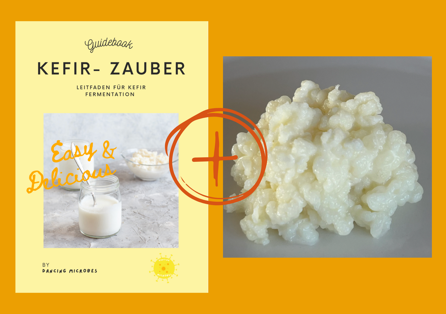 Produktbundle: Milchkefirknollen & Kefir Guidebook – Alles für die perfekte Kefirherstellung zuhause.