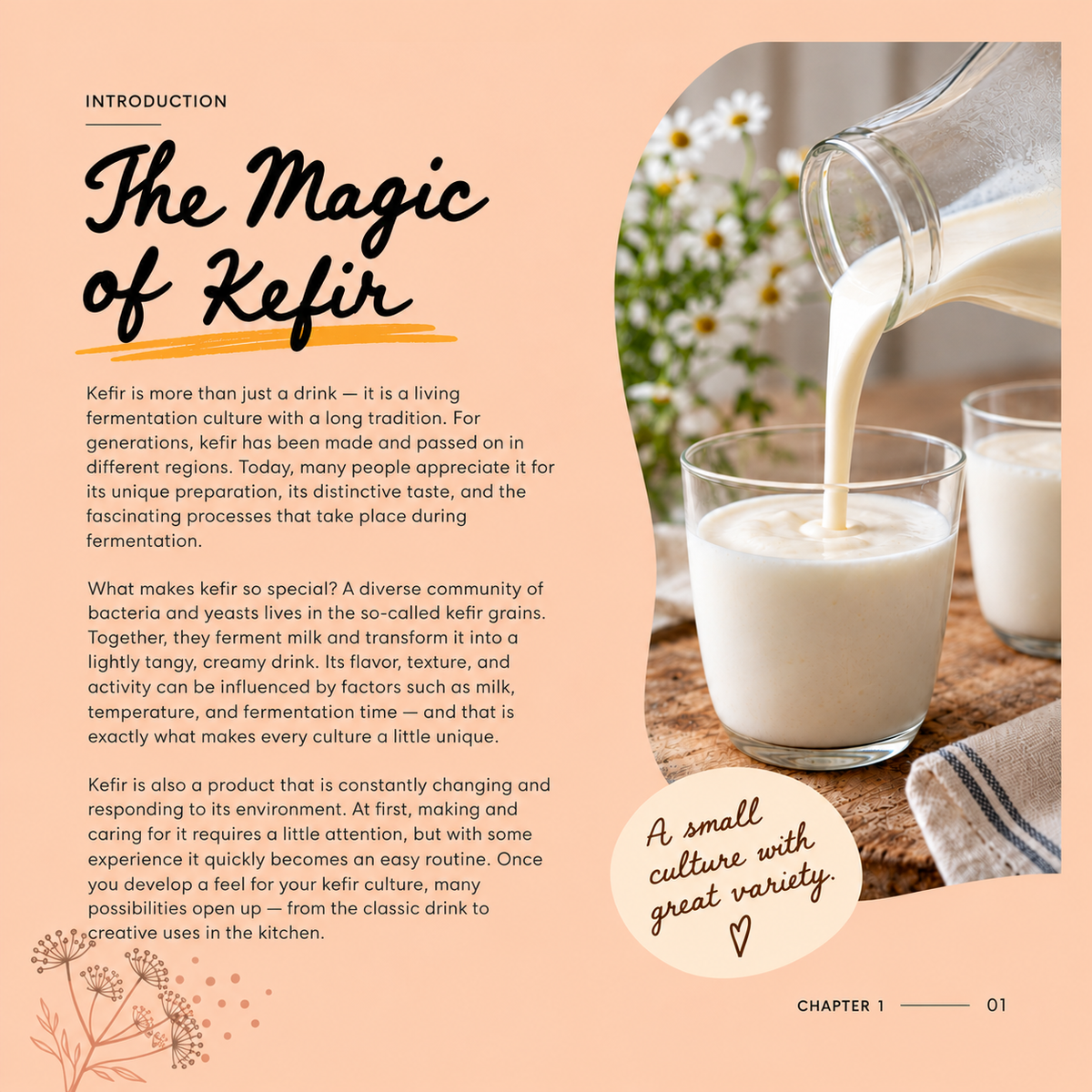 Kefir Bundle