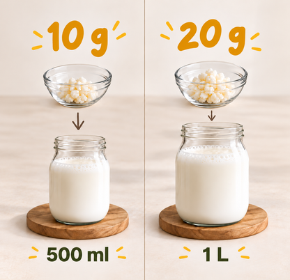 Kefir Bundle