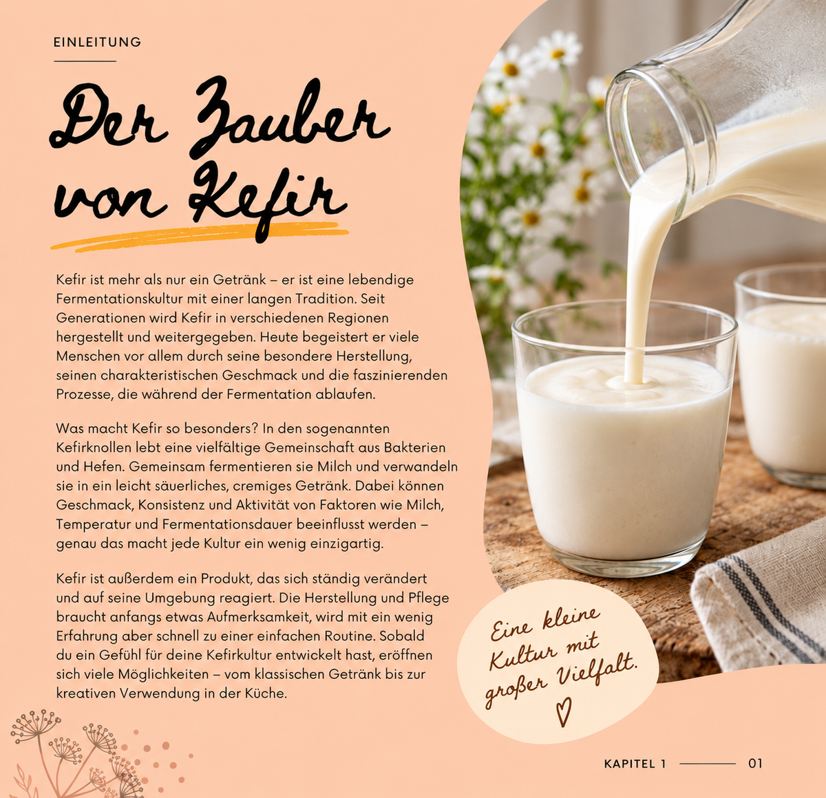 Kefir Bundle