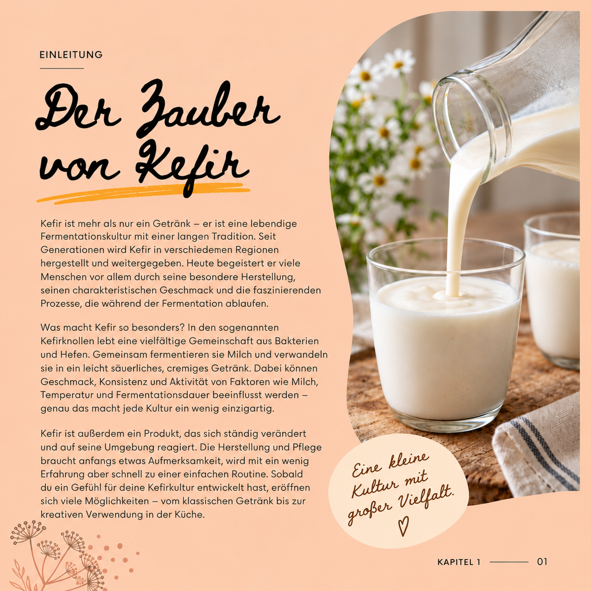 Deutsche Einleitungsseite „Der Zauber von Kefir“ aus dem digitalen Guidebook mit Hintergrundwissen zur Fermentation und einem Foto von frisch eingeschenktem Milchkefir.